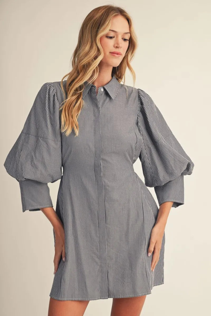 The Katie Denim Dress