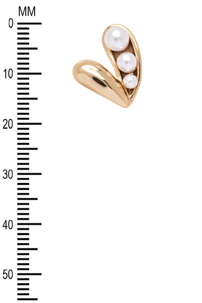 Stainless Steel Earrings
