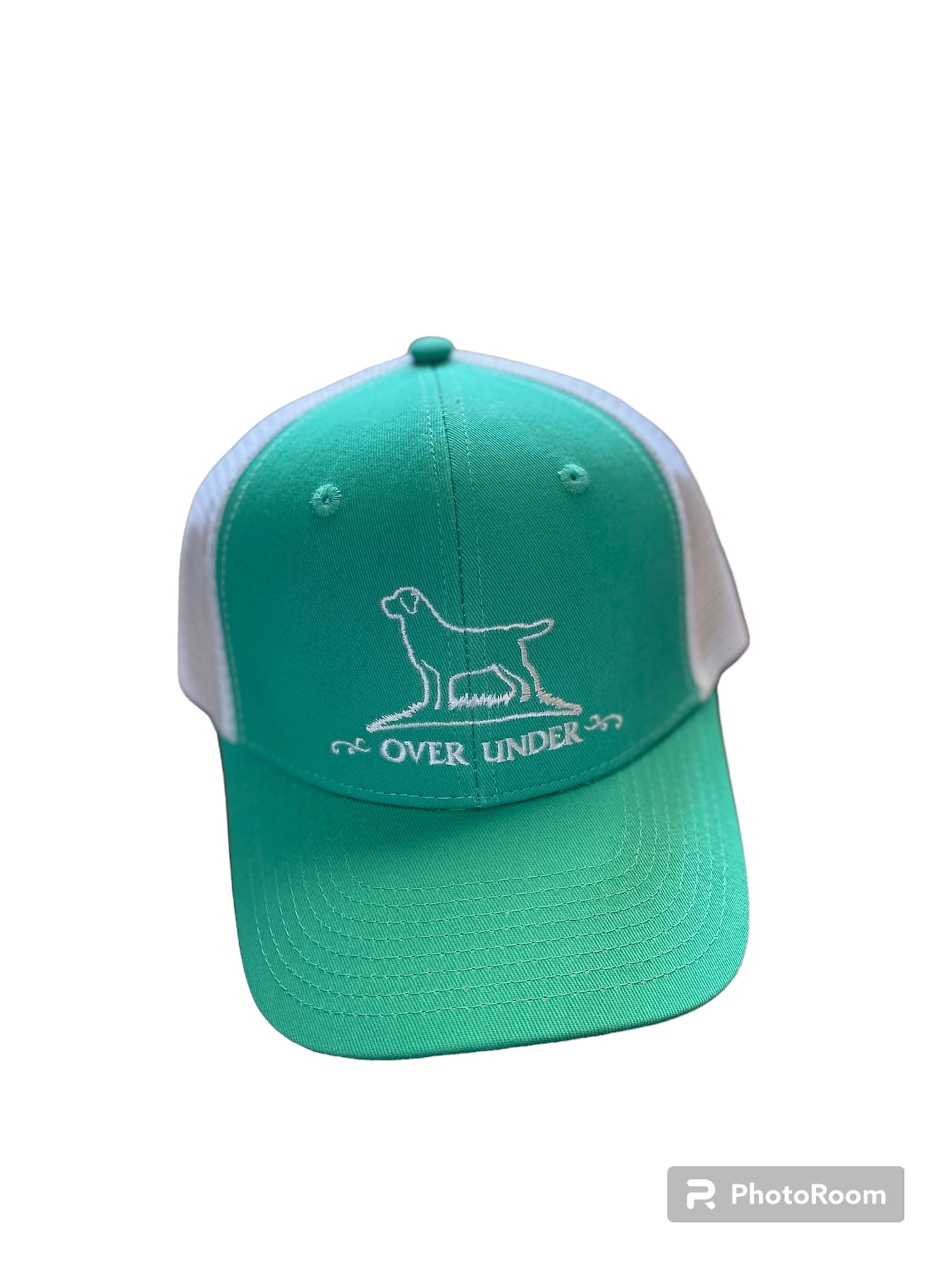 Over Under Aqua Dog Logo Hat