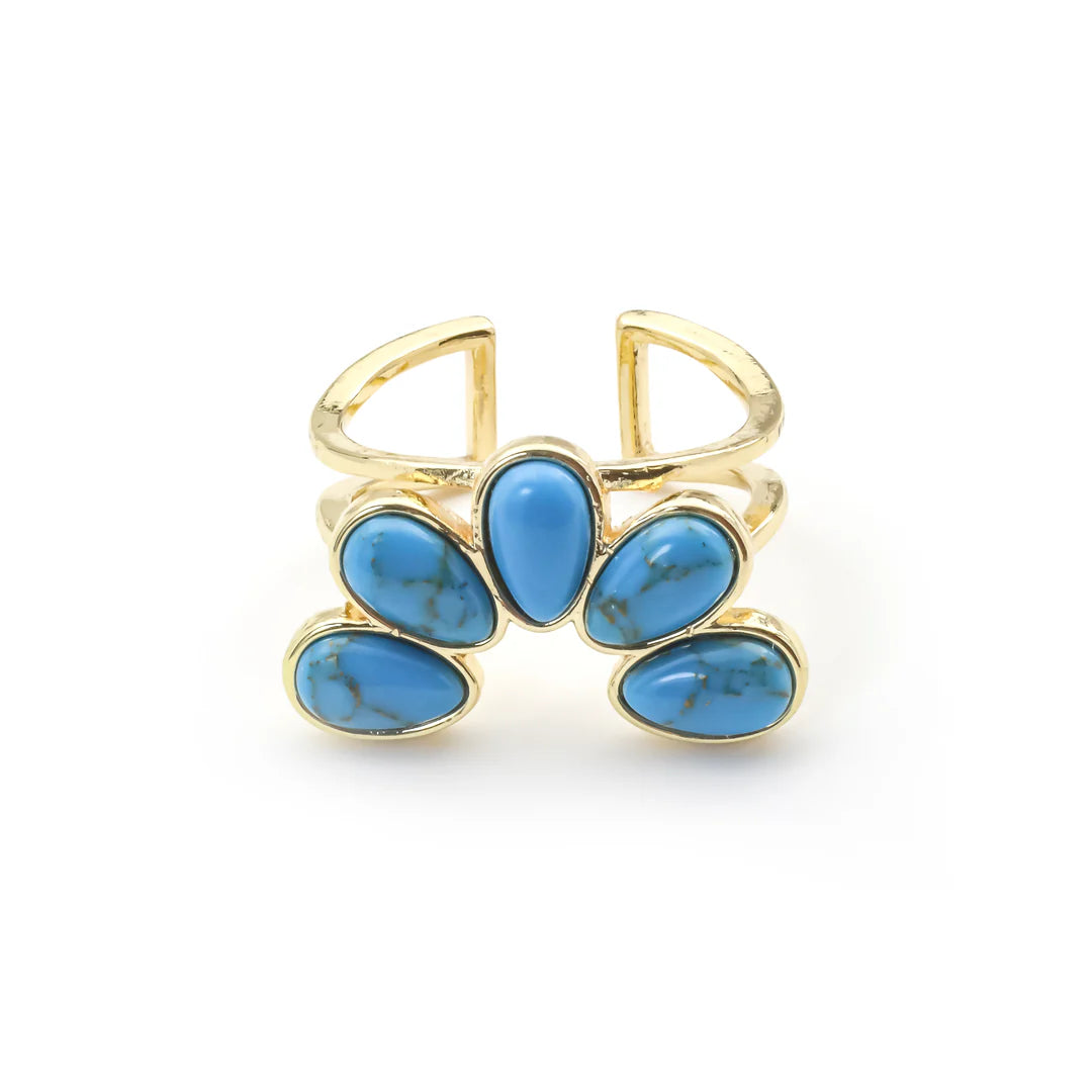 Erimish Kyle Ring