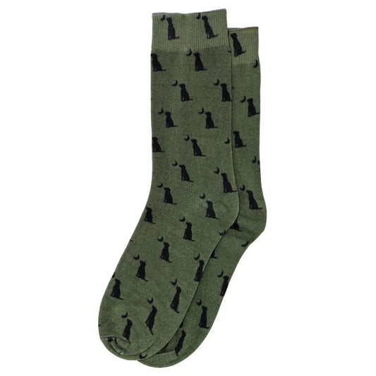 Local Boy Olive Dog & Moon Dress Socks