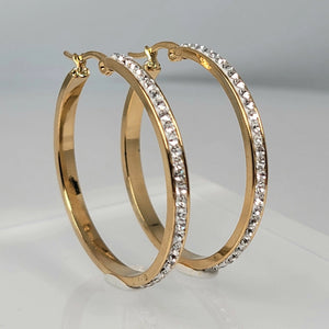 Pave' Stone Hoop Earring