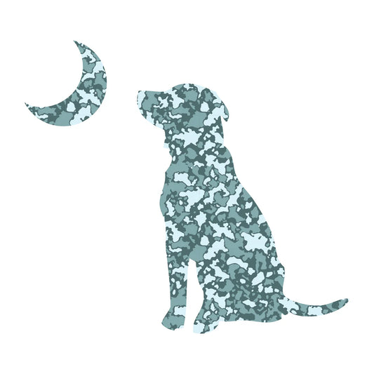 Local Boy High Tide Dog & Moon Decal Sticker