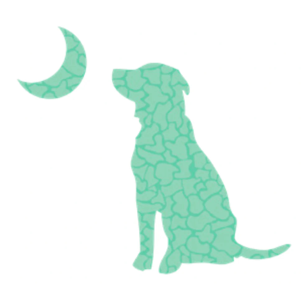 Local Boy Green Stoned Dog and Moon Decal Sticker